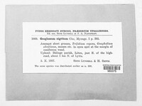 Image Associated With the Occurence